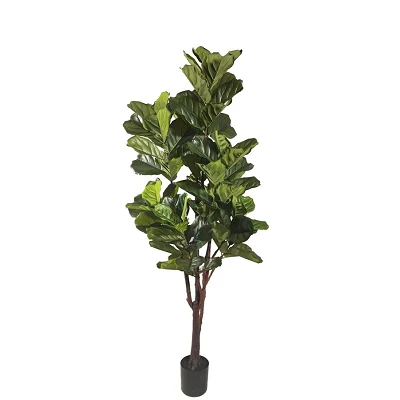 comprar PLANTA FICUS LYRATA CON MACETERO 102HOJAS H220 online de BIZZOTTO desde 265,72 € comprar PLANTA FICUS LYRATA CON MACETERO 102HOJAS H220 online de BIZZOTTO desde 265,72 €