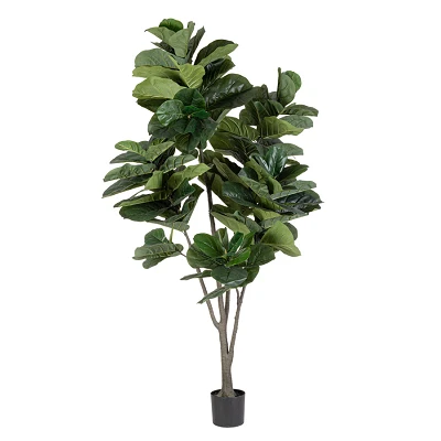 comprar PLANTA FICUS LYRATA CON MACETERO 123HOJASH230 online de BIZZOTTO desde 265,72 € comprar PLANTA FICUS LYRATA CON MACETERO 123HOJASH230 online de BIZZOTTO desde 265,72 €