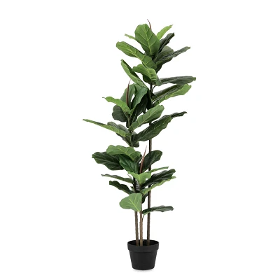 comprar PLANTA FICUS LYRATA CON MACETERO 39HOJAS H145 online de BIZZOTTO desde 106,72 € comprar PLANTA FICUS LYRATA CON MACETERO 39HOJAS H145 online de BIZZOTTO desde 106,72 €