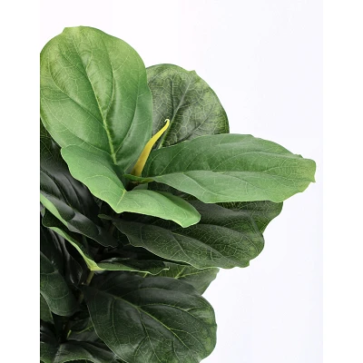 comprar PLANTA FICUS LYRATA CON MACETERO 72HOJAS H120 online de BIZZOTTO desde 71,87 € comprar PLANTA FICUS LYRATA CON MACETERO 72HOJAS H120 online de BIZZOTTO desde 71,87 €