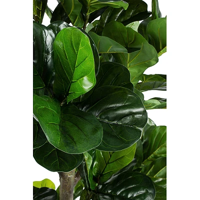 comprar PLANTA FICUS LYRATA CON MACETERO 153HOJ H190 online de BIZZOTTO desde 333,23 € comprar PLANTA FICUS LYRATA CON MACETERO 153HOJ H190 online de BIZZOTTO desde 333,23 €