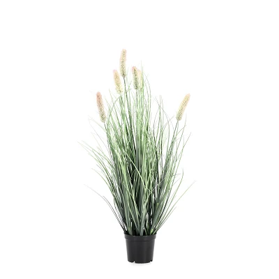 comprar PLANTA PENNISETUM CON MACETERO H61 online de BIZZOTTO desde 15,90 € comprar PLANTA PENNISETUM CON MACETERO H61 online de BIZZOTTO desde 15,90 €