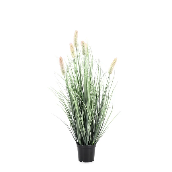 PLANTA PENNISETUM CON MACETERO H61