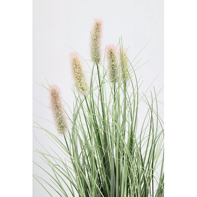 comprar PLANTA PENNISETUM CON MACETERO H61 online de BIZZOTTO desde 15,90 € comprar PLANTA PENNISETUM CON MACETERO H61 online de BIZZOTTO desde 15,90 €