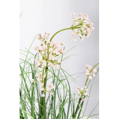 comprar PLANTA ALLIUM CON MACETERO H60 online de BIZZOTTO desde 17,21 € comprar PLANTA ALLIUM CON MACETERO H60 online de BIZZOTTO desde 17,21 €