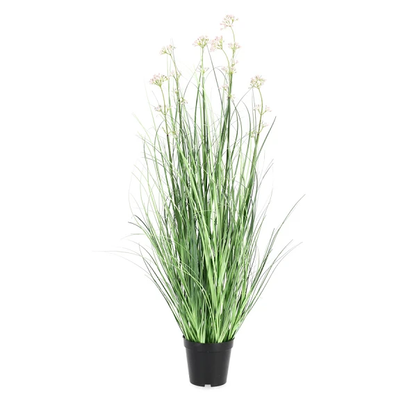 PLANTA ALLIUM CON MACETERO H90