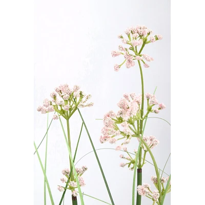 comprar PLANTA ALLIUM CON MACETERO H90 online de BIZZOTTO desde 39,42 € comprar PLANTA ALLIUM CON MACETERO H90 online de BIZZOTTO desde 39,42 €