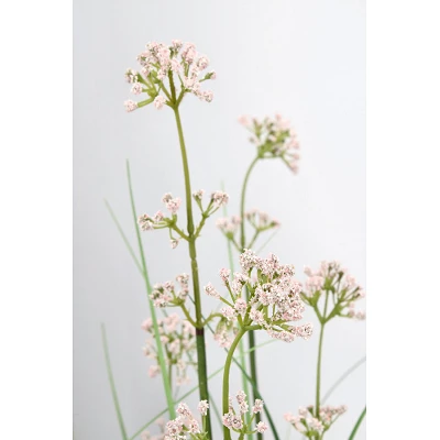 comprar PLANTA ALLIUM CON MACETERO H110 online de BIZZOTTO desde 72,96 € comprar PLANTA ALLIUM CON MACETERO H110 online de BIZZOTTO desde 72,96 €