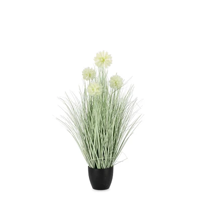 comprar PLANTA CEBOLLA BLANCO CON MACETEROET X4F H75 online de BIZZOTTO desde 41,82 € comprar PLANTA CEBOLLA BLANCO CON MACETEROET X4F H75 online de BIZZOTTO desde 41,82 €
