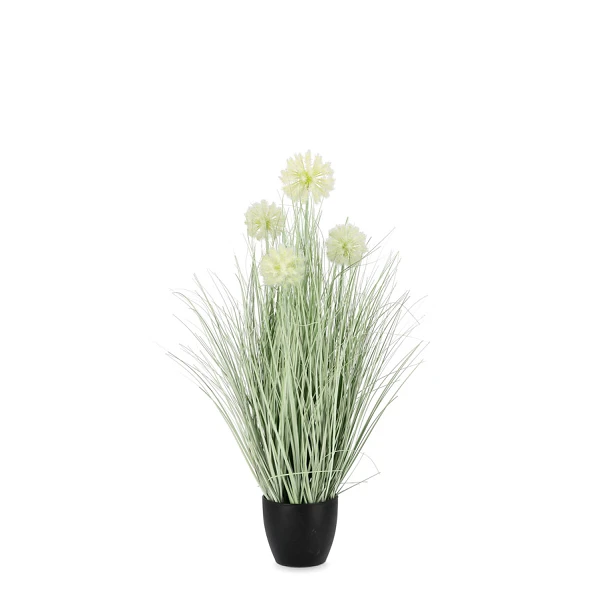 PLANTA CEBOLLA BLANCO CON MACETEROET X4F H75