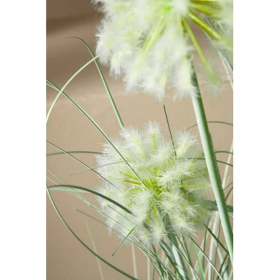 comprar PLANTA CEBOLLA BLANCO CON MACETEROET X4F H75 online de BIZZOTTO desde 41,82 € comprar PLANTA CEBOLLA BLANCO CON MACETEROET X4F H75 online de BIZZOTTO desde 41,82 €