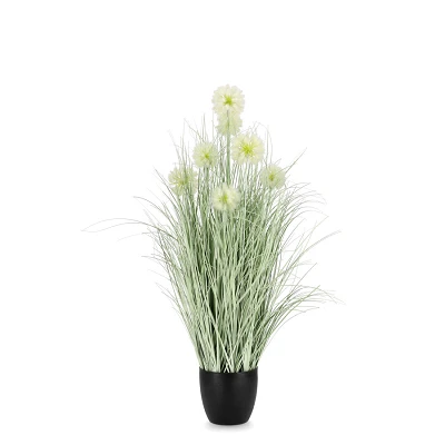 comprar PLANTA CEBOLLA BLANCO CON MACETEROET X7F H105 online de BIZZOTTO desde 78,41 € comprar PLANTA CEBOLLA BLANCO CON MACETEROET X7F H105 online de BIZZOTTO desde 78,41 €