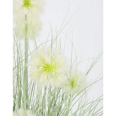 comprar PLANTA CEBOLLA BLANCO CON MACETEROET X7F H105 online de BIZZOTTO desde 78,41 € comprar PLANTA CEBOLLA BLANCO CON MACETEROET X7F H105 online de BIZZOTTO desde 78,41 €