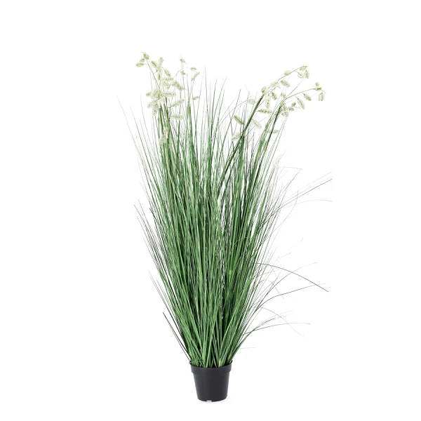 PLANTA GREVILLEA BLANCO CON MACETERO X9F H150