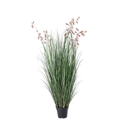 comprar PLANTA GREVILLEA ROSA CON MACETERO X9F H150 online de BIZZOTTO desde 151,37 € comprar PLANTA GREVILLEA ROSA CON MACETERO X9F H150 online de BIZZOTTO desde 151,37 €