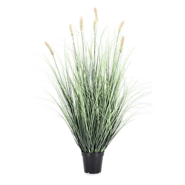 PLANTA PENNISETUM CON MACETERO H90