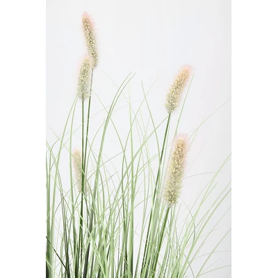 comprar PLANTA PENNISETUM CON MACETERO H90 online de BIZZOTTO desde 44,65 € comprar PLANTA PENNISETUM CON MACETERO H90 online de BIZZOTTO desde 44,65 €