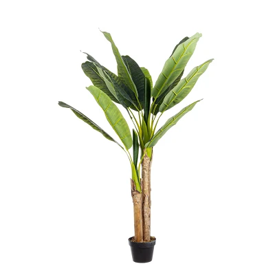 comprar PLANTA BANANO CON MACETERO 14HOJ H135 online de BIZZOTTO desde 81,68 €