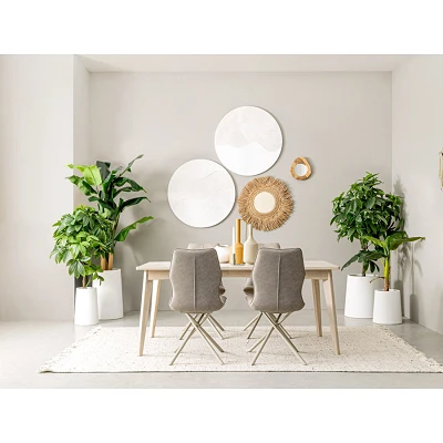 comprar PLANTA BANANO CON MACETERO 7HOJ H113CM online de BIZZOTTO desde 68,61 € comprar PLANTA BANANO CON MACETERO 7HOJ H113CM online de BIZZOTTO desde 68,61 €