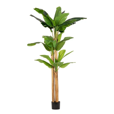 comprar PLANTA DE PLÁTANO CON MACETERO 24HOJAS H280 online de BIZZOTTO desde 274,43 € comprar PLANTA DE PLÁTANO CON MACETERO 24HOJAS H280 online de BIZZOTTO desde 274,43 €