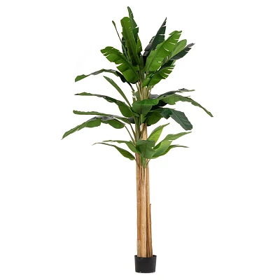 comprar PLANTA DE PLÁTANO CON MACETERO 30HOJAS H320 online de BIZZOTTO desde 505,30 € comprar PLANTA DE PLÁTANO CON MACETERO 30HOJAS H320 online de BIZZOTTO desde 505,30 €