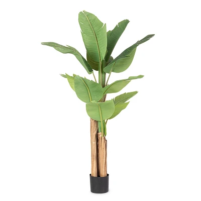 comprar PLANTA PLATANERA CON MACETERO 13HOJAS H150 online de BIZZOTTO desde 113,26 € comprar PLANTA PLATANERA CON MACETERO 13HOJAS H150 online de BIZZOTTO desde 113,26 €