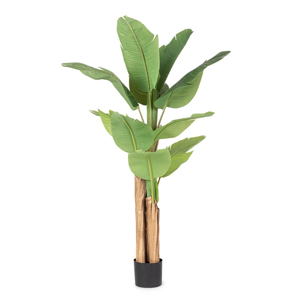 PLANTA PLATANERA CON MACETERO 13HOJAS H150
