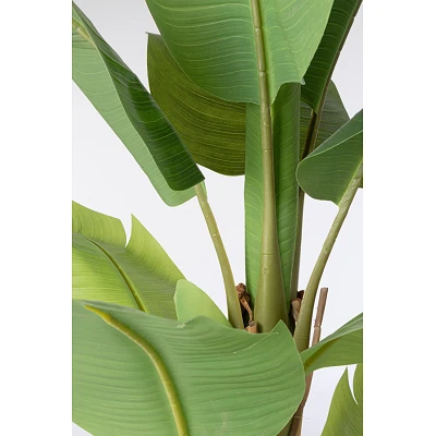 comprar PLANTA PLATANERA CON MACETERO 13HOJAS H150 online de BIZZOTTO desde 113,26 € comprar PLANTA PLATANERA CON MACETERO 13HOJAS H150 online de BIZZOTTO desde 113,26 €