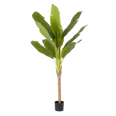 comprar PLANTA PLÁTANO CON MACETERO H210 online de BIZZOTTO desde 133,95 € comprar PLANTA PLÁTANO CON MACETERO H210 online de BIZZOTTO desde 133,95 €