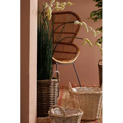 comprar PLANTA GREVILLEA BLANCO CON MACETEROET X7F H120 online de BIZZOTTO desde 90,39 € comprar PLANTA GREVILLEA BLANCO CON MACETEROET X7F H120 online de BIZZOTTO desde 90,39 €