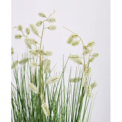 comprar PLANTA GREVILLEA BLANCO CON MACETEROET X7F H120 online de BIZZOTTO desde 90,39 € comprar PLANTA GREVILLEA BLANCO CON MACETEROET X7F H120 online de BIZZOTTO desde 90,39 €