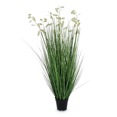 comprar PLANTA GREVILLEA BLANCO CON MACETEROET X7F H120 online de BIZZOTTO desde 90,39 € comprar PLANTA GREVILLEA BLANCO CON MACETEROET X7F H120 online de BIZZOTTO desde 90,39 €