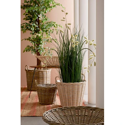 comprar PLANTA GREVILLEA BLANCO CON MACETEROET X7F H120 online de BIZZOTTO desde 90,39 € comprar PLANTA GREVILLEA BLANCO CON MACETEROET X7F H120 online de BIZZOTTO desde 90,39 €