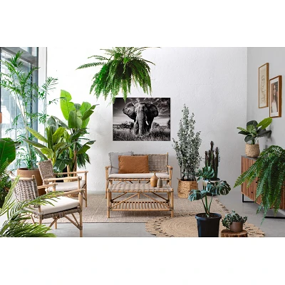 comprar SOFÁ con 2 plazas, con COJINES TARIFA online de BIZZOTTO desde 564,10 € comprar SOFÁ con 2 plazas, con COJINES TARIFA online de BIZZOTTO desde 564,10 €