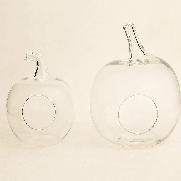 MANZANA C/AGUJERO