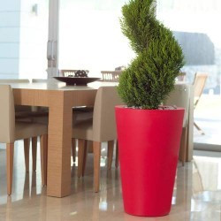 comprar Cono Alto Aigua Small online de  desde 0,00 €