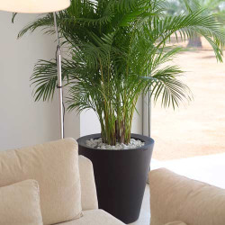 comprar Cono Alto Aigua Small online de  desde 0,00 €
