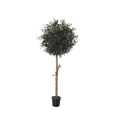 comprar OLIVO TOPIARI 27 ramas online de desde 204,99 € comprar OLIVO TOPIARI 27 ramas online de desde 204,99 €