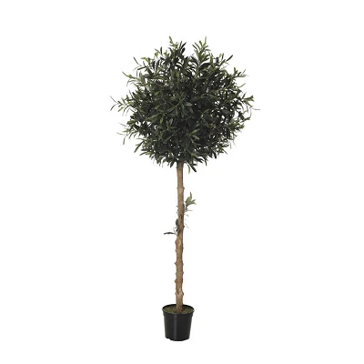 comprar OLIVO TOPIARI online de  desde 215,28 €