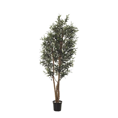 comprar Fb Arbol Olivo online de  desde 234,43 €