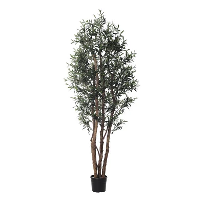 comprar Fb Arbol Olivo online de  desde 370,85 €