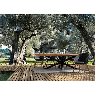 comprar SILLA CON REPOSABRAZOS | CON COJINES | COACHELLA ANTRACITA online de Bizzotto Homemotion desde 629,44 €