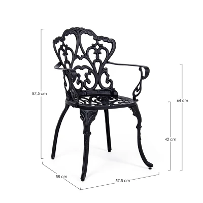 comprar SILLA CON REPOSABRAZOS | VICTORIA ANTRACITA online de BIZZOTTO desde 190,58 €