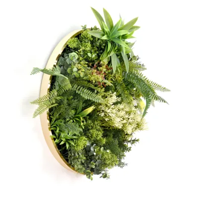 comprar CUADRO VEGETAL REDONDO ø 50CM Jardín Vertical online de  desde 41,89 €
