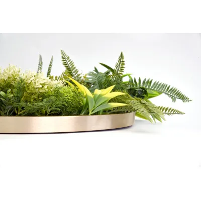 comprar CUADRO VEGETAL REDONDO ø 50CM Jardín Vertical online de  desde 41,89 €