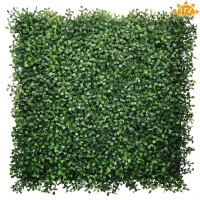 comprar PLACA BOJE ARTIFICIAL 50X50CM Jardín Vertical online de  desde 7,56 €
