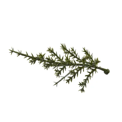 comprar PLACA CIPRES ARTIFICIAL 50X50CM Jardín Vertical online de  desde 12,21 €