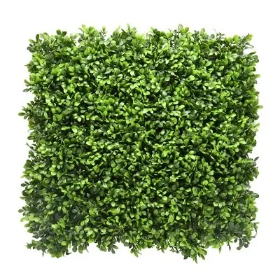 comprar Jardín vertical | Murraya online de desde 110,84 € comprar Jardín vertical | Murraya online de desde 110,84 €