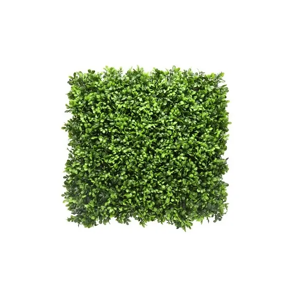 Jardín vertical | Murraya