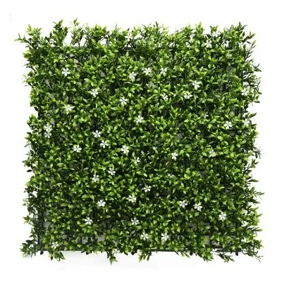 comprar Jardín vertical | Aptenia + White Flower online de desde 77,20 € comprar Jardín vertical | Aptenia + White Flower online de desde 77,20 €